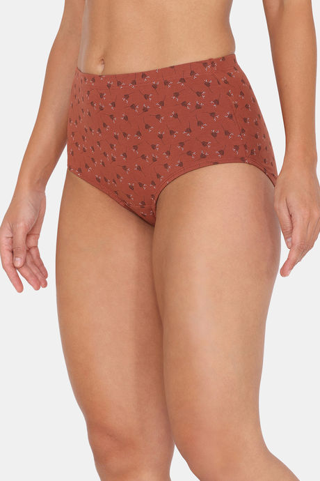 Zivame High Rise Full Coverage Hipster Panty (Pack of 3) - Multicolor — image 4